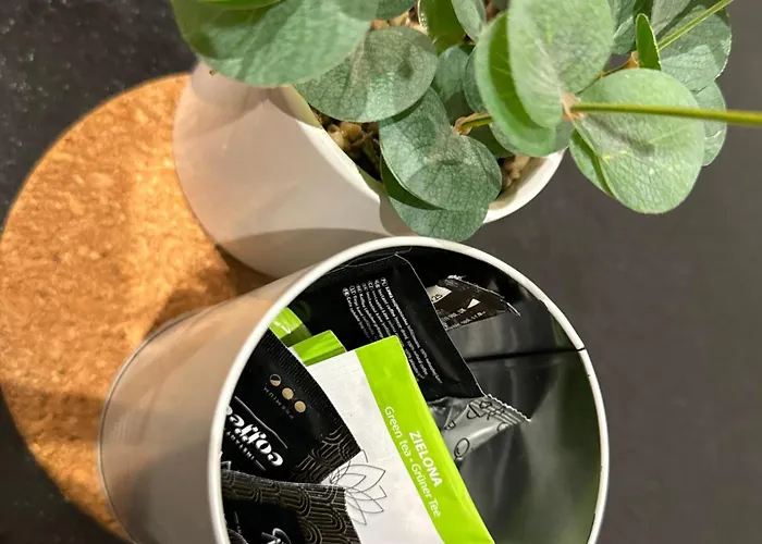 公寓 K22 Slawinska 507 Big Family